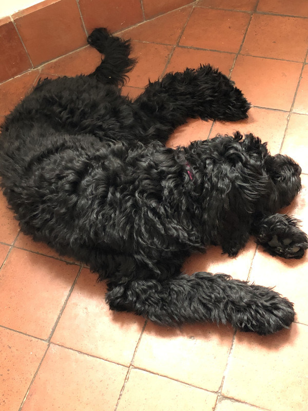 79F5DC8D-D5EC-4560-A8D0-F561590C8121