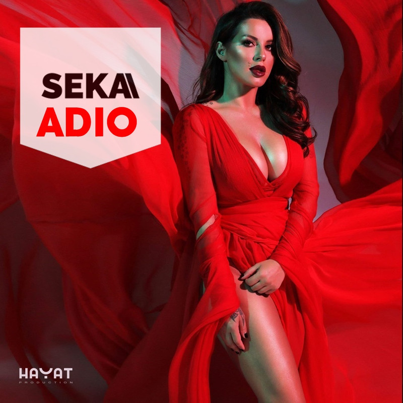 Seka Aleksic Nista Me Vise Ne Boli
