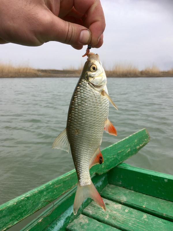 6F771C29-3357-47AD-A214-0BCCAC4A78FF