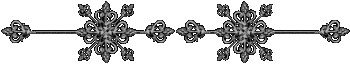 gray 41