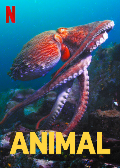  Animal (2021) 720p HEVC HDRip S01 Complete NF Series [Dual Audio] [Hindi or English] x265 AAC ESubs [1GB] Full Movie Download