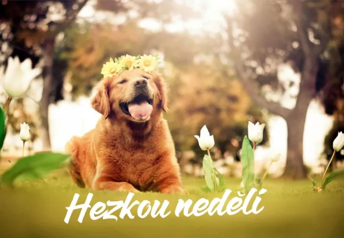 39-dobrou-nedeli-700x486