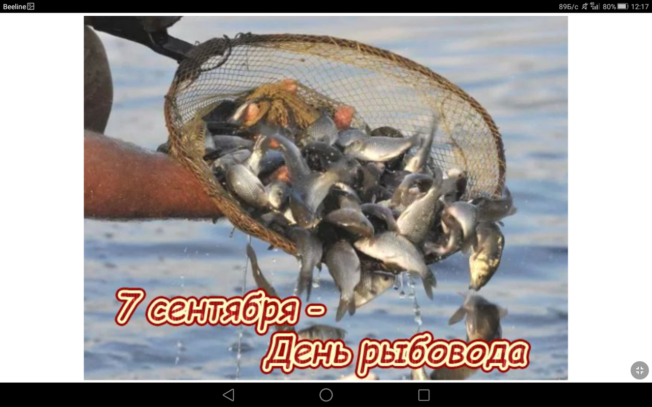 Screenshot_2023-09-07-12-17-24