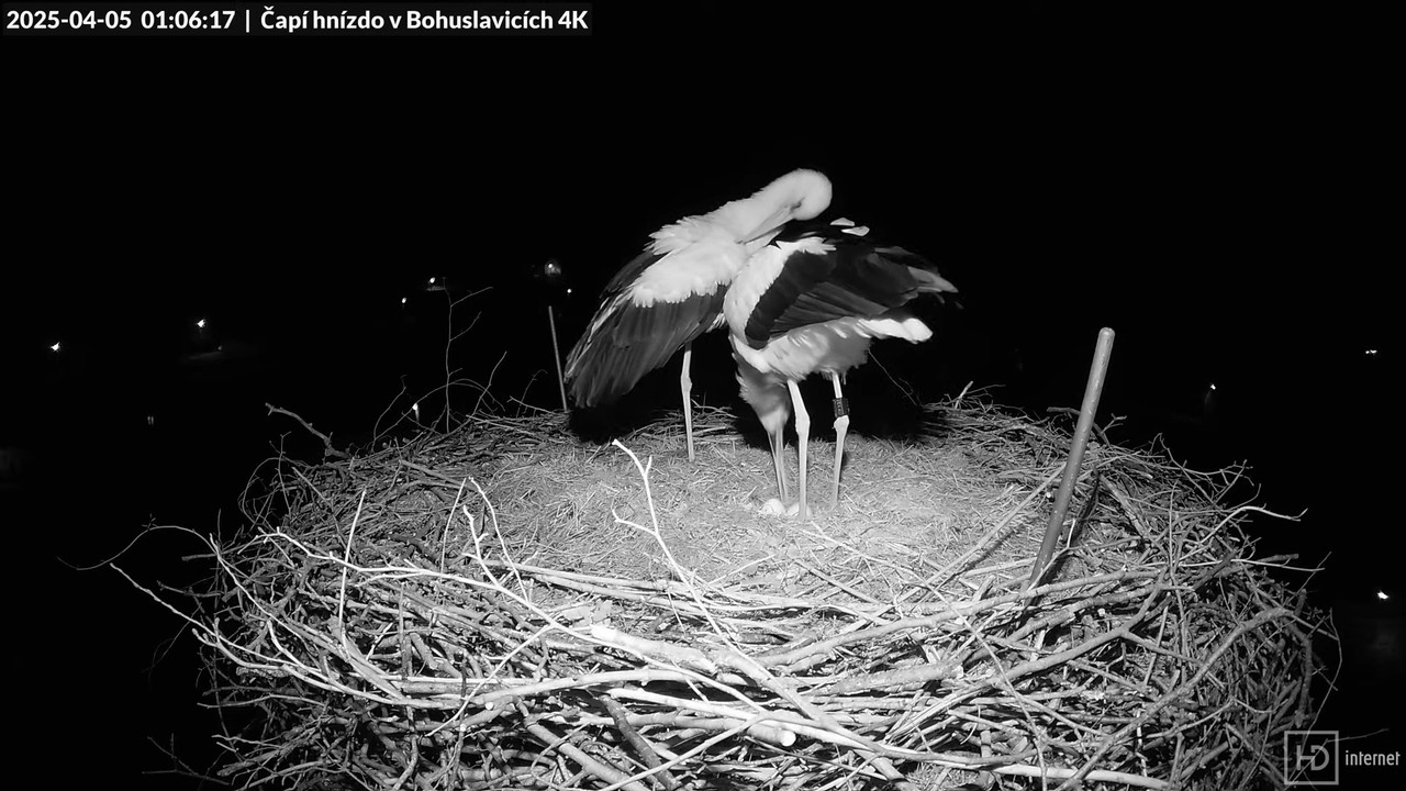 Živě z čapího komína firmy KARA v Bohuslavicích u Trutnova 5-30-12 screenshot