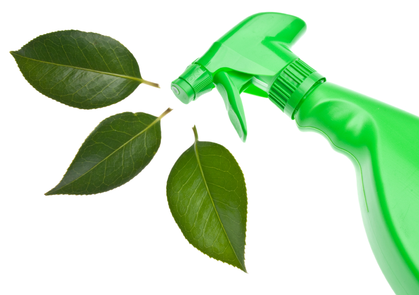 Tipología y aplicaciones de los productos de limpieza ecológicos Tipología y aplicaciones de los productos de limpieza ecológicos