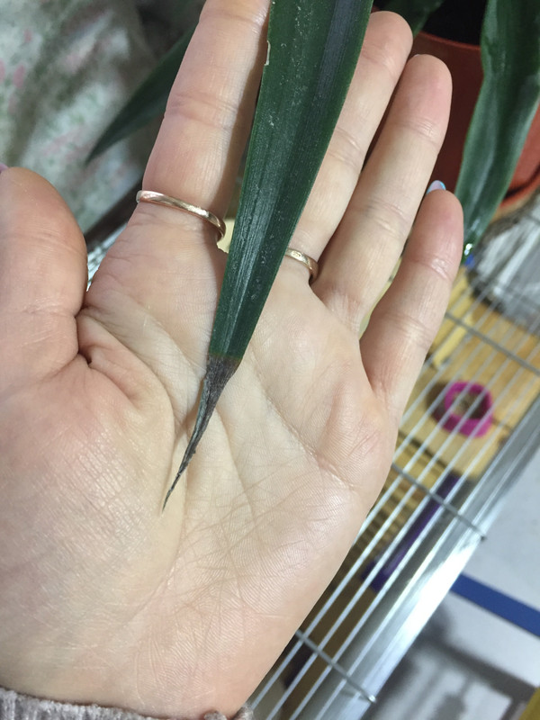 F14F3B2D-6CCE-4279-B948-94A5F28F6670