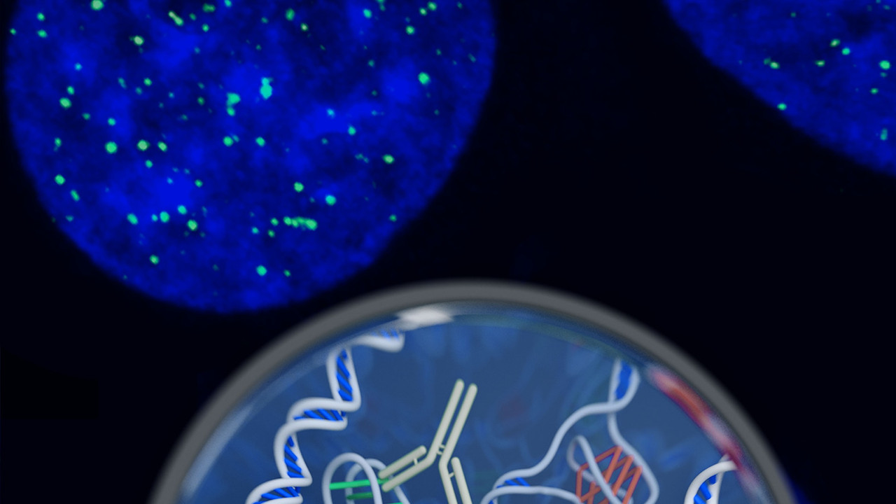 Científicos usan moléculas de ADN para crear una antena diminuta