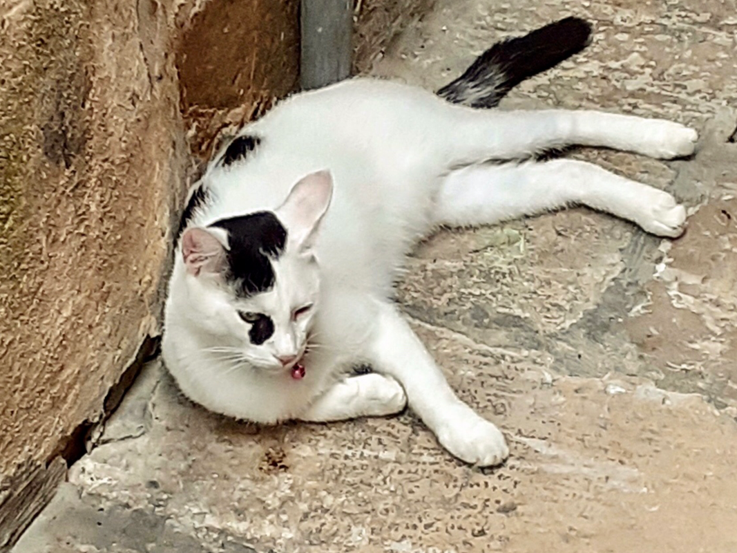 8CE1E133-69EB-4FF8-AC39-D7A56109B8D9