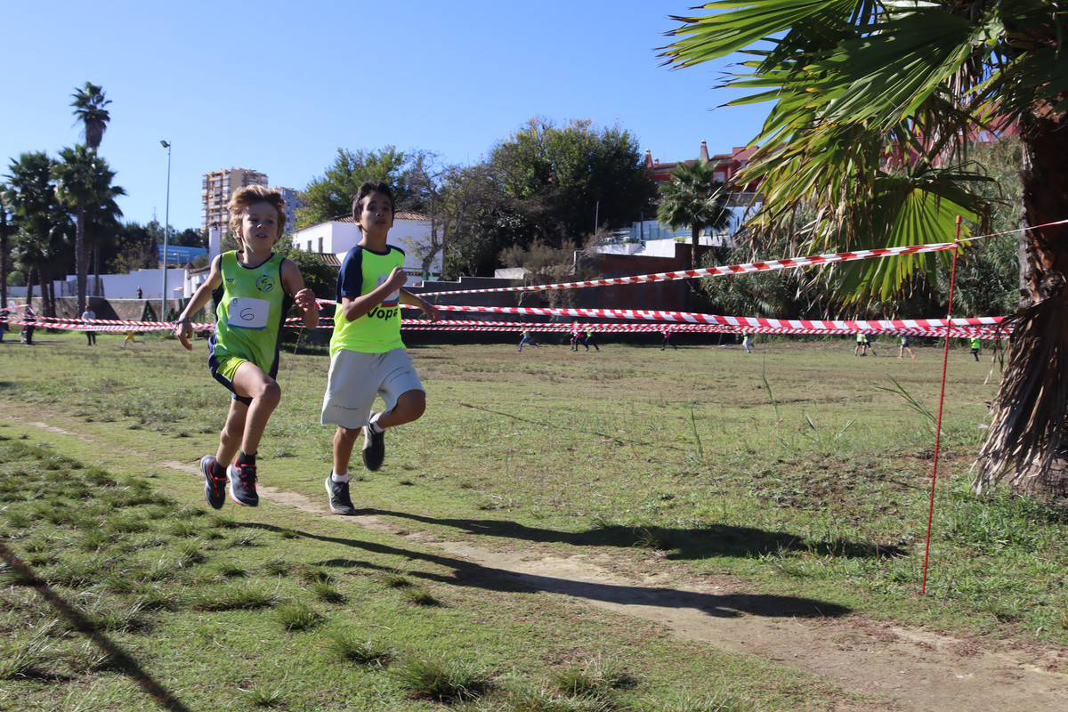 IMG-0548