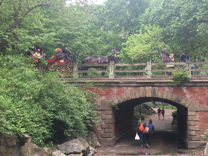 FC3A2420-6FD2-4AB7-9725-E1F487574F12