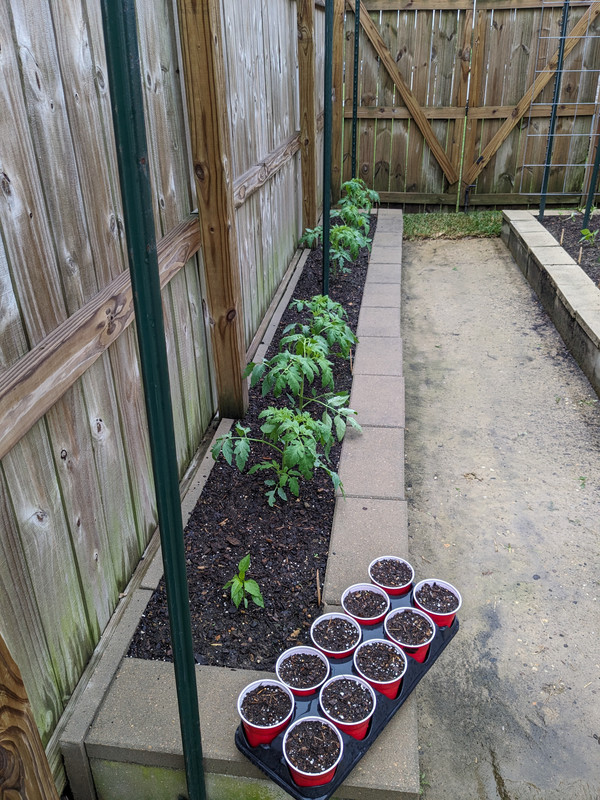 PXL_20240421_135610351