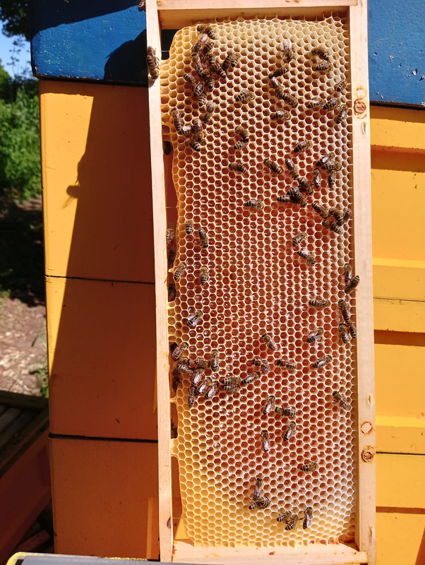 Obrázek WhatsApp, 2025-06-22 v 11.46.14_a38665c9