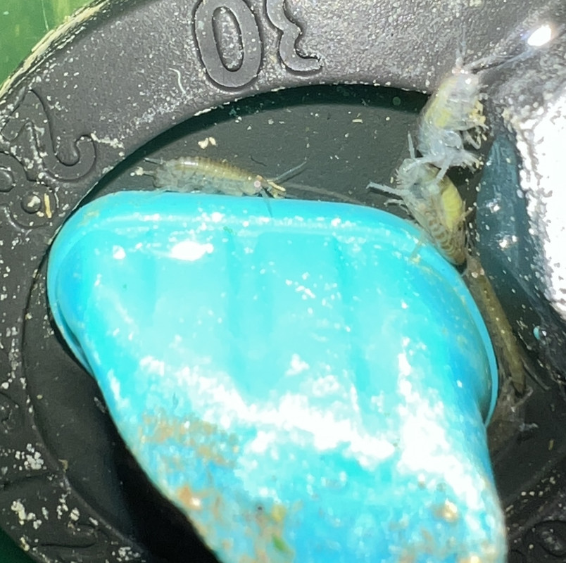 19543196-36EF-40BB-A4A6-1D55DA9AC727