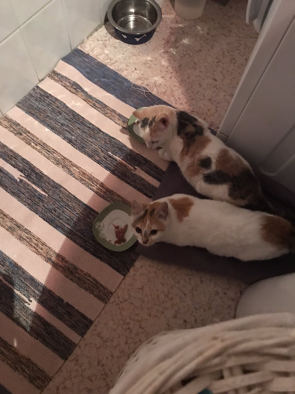 D1886A5B-644C-4D8C-9006-C98A20245F94