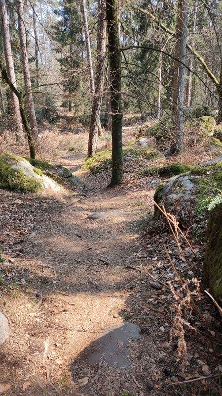 IMG_20210422_131600_compress54