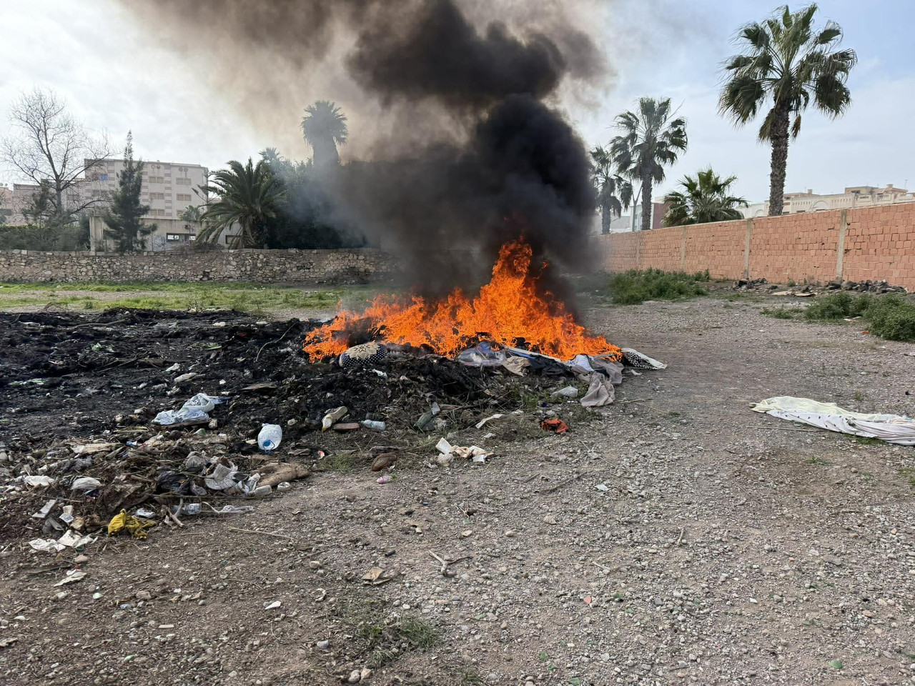 639488514-2125875261285991-4909264660450126104-n