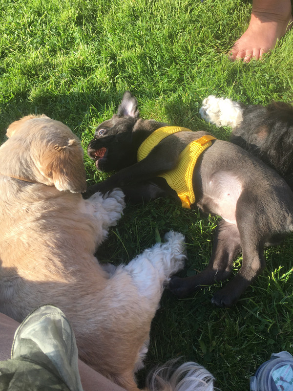 25F34306-DD33-46B3-A24F-1774F8614D34