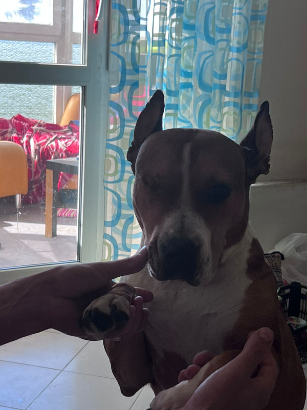 5FA9CBB0-451D-4052-8181-226F86AFA146