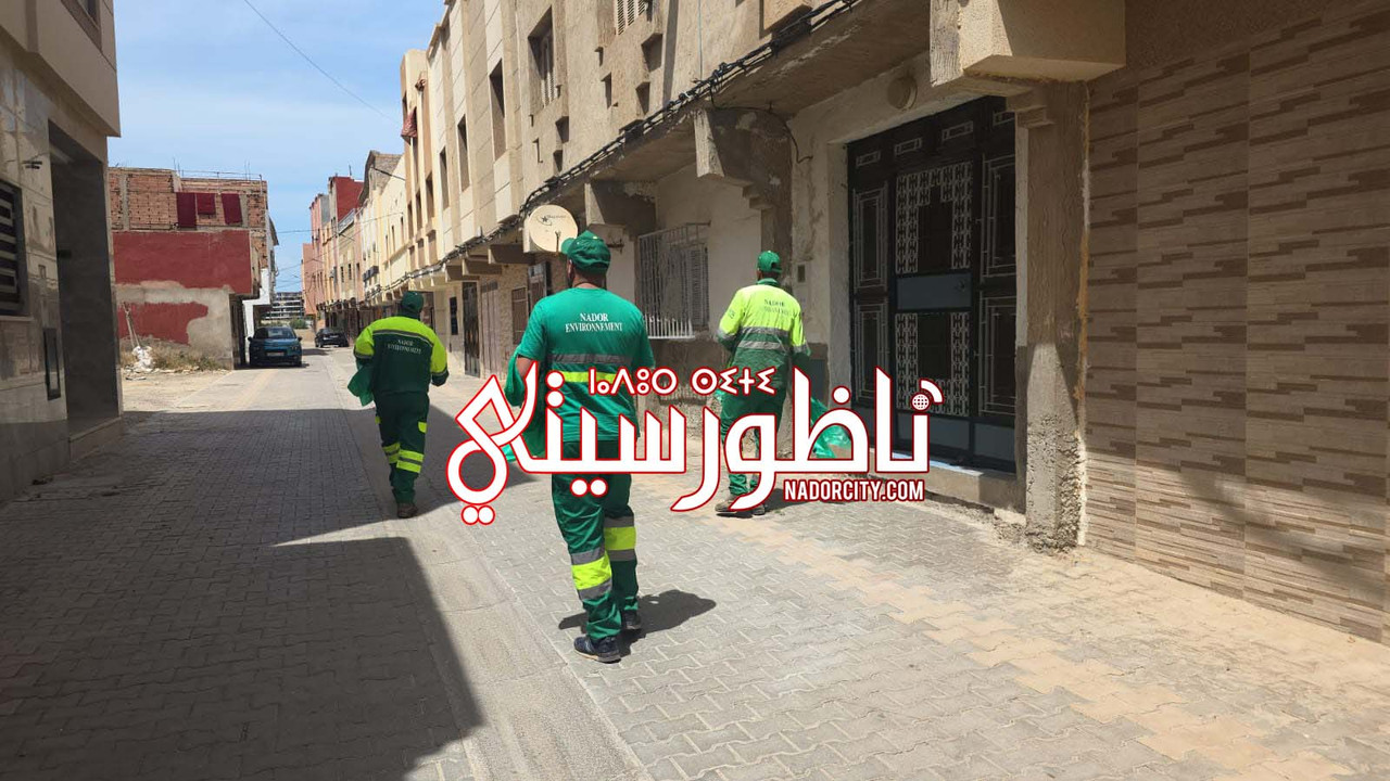 Whats-App-Image-2026-05-25-at-15-18-46
