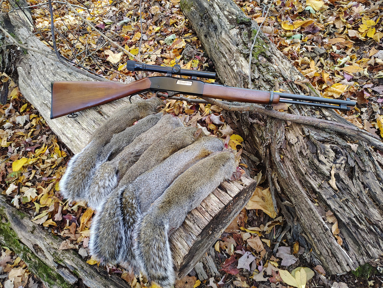 IMG 20251023 155753473 HDR(1)