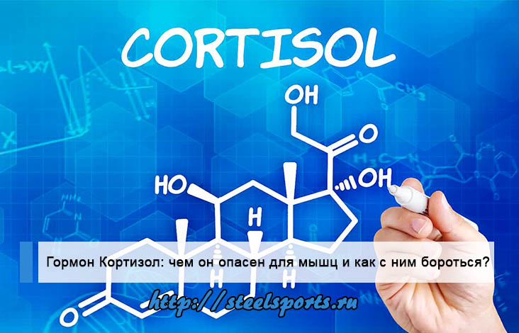Гормон кортизол суть, свойства, методы борьбы