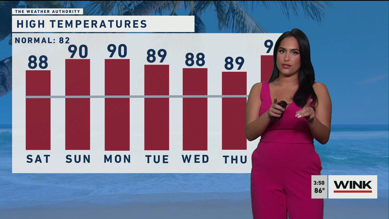 03.24 - 19.00.00 - WINK News at 3pm  ᴺᵉʷ..ts_snapshot_00.50.58.735
