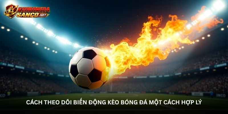 Cách theo dõi biến động kèo bóng đá một cách hợp lý Cách theo dõi biến động kèo bóng đá một cách hợp lý