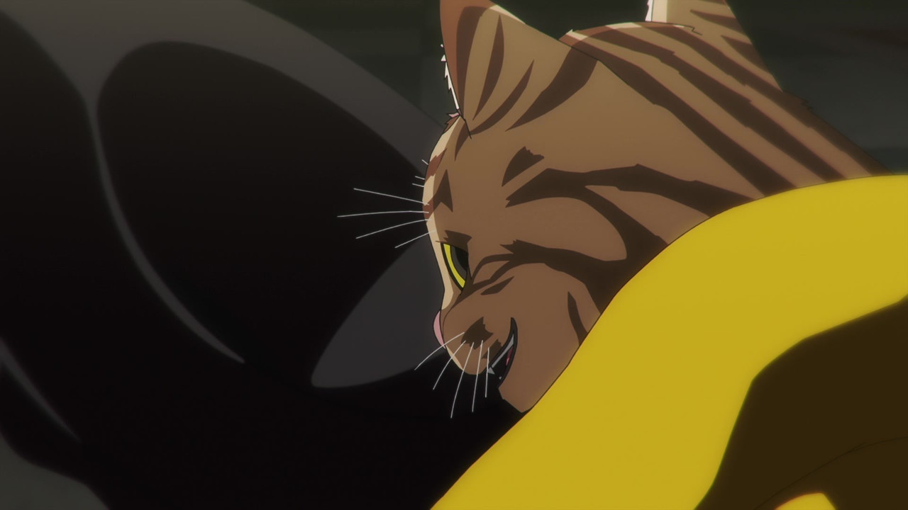 [SubsPlease] Nyaight of the Living Cat - 01 (1080p) [29F53FA8].mkv.0003