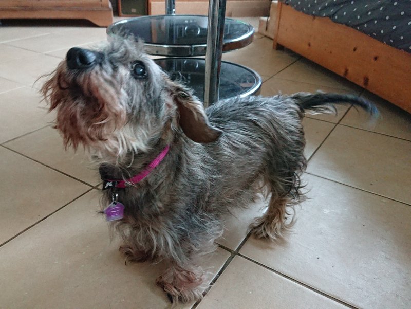 [Image: 20240314-142855.jpg]