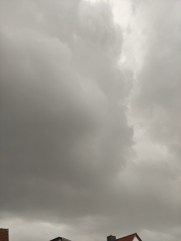 regen.jpg