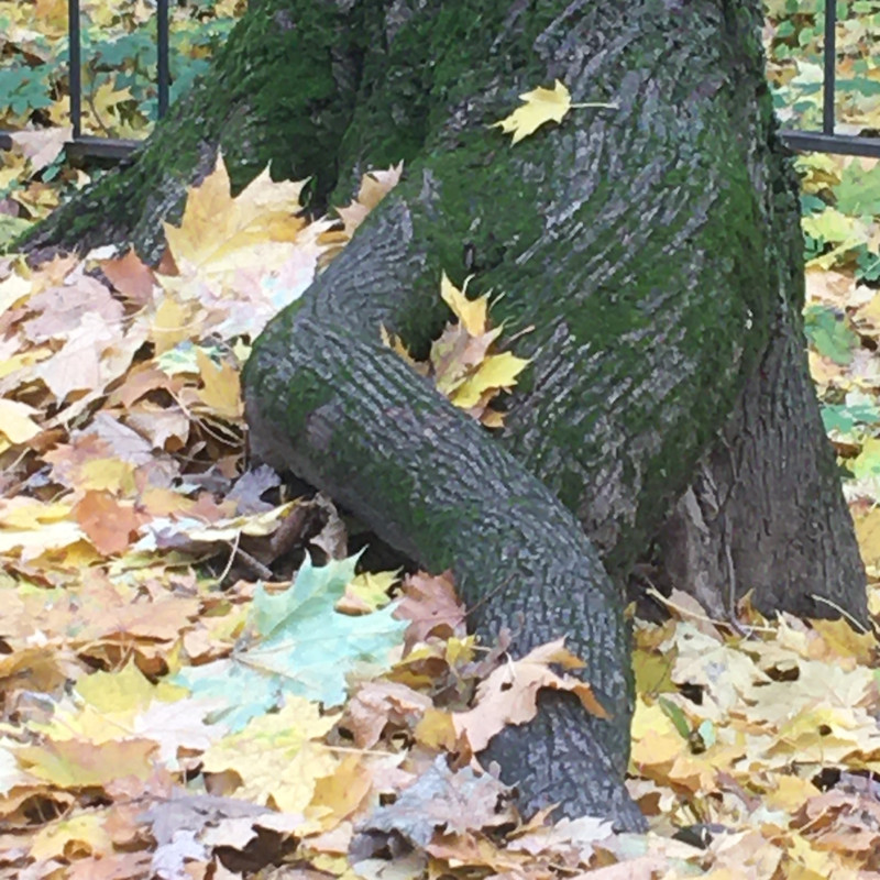 последнее с айфона 039