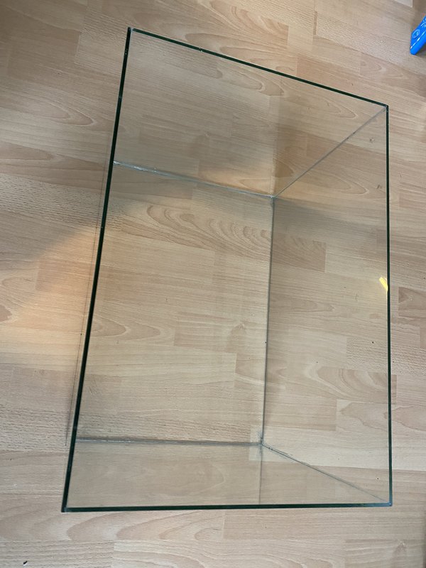 Pelmel Tulpen overzien TK] Glazen bak 50x35x35 - Hamsterforum
