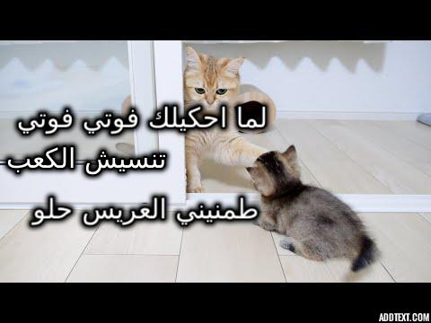 ���� ���� ������ �� ���� ������