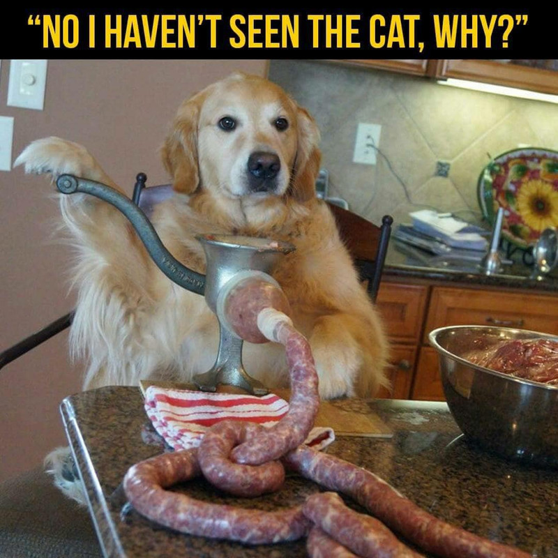 zzz326150510-1399079367587745-5457206238