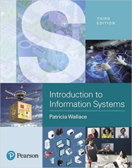 Introduction to Information Systems: People, Technology and Processe, 3rd Edition