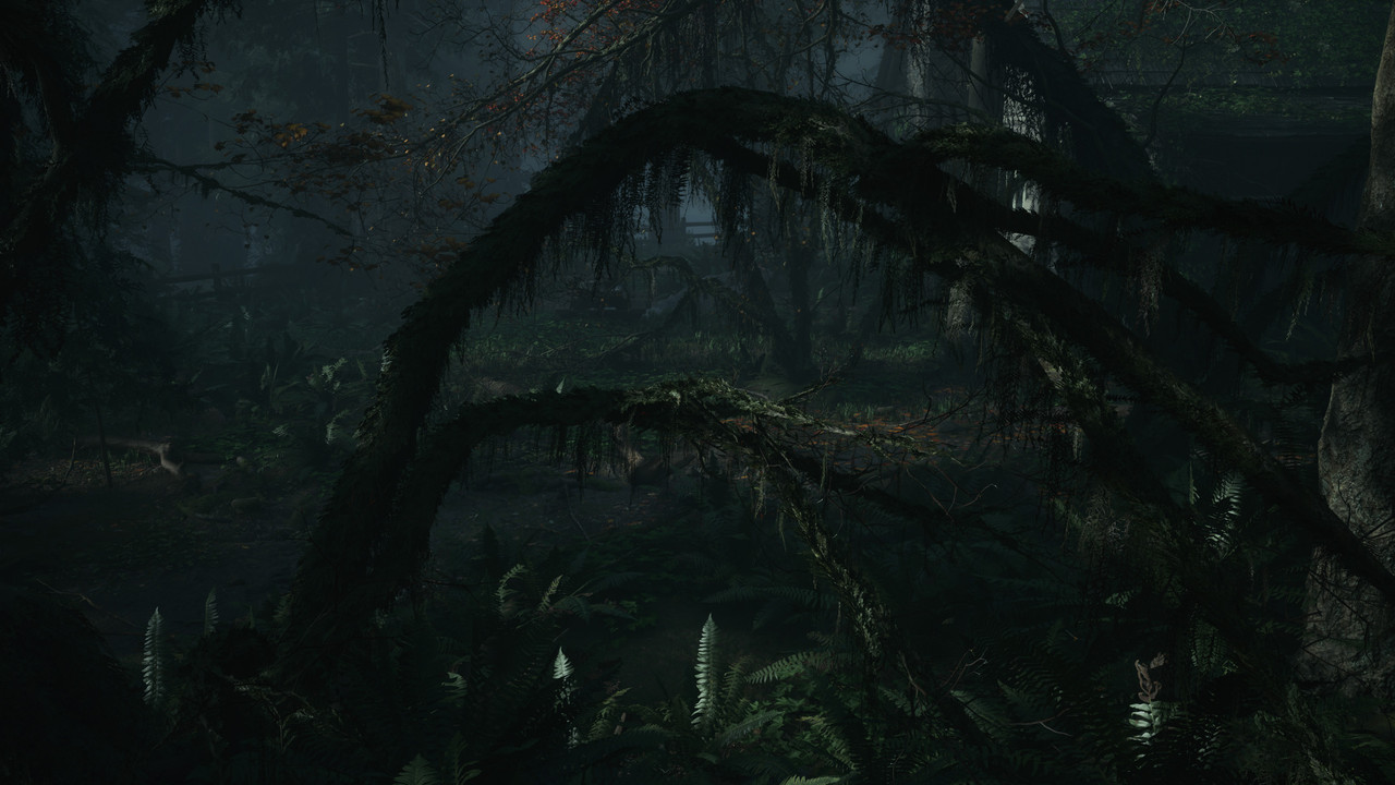 Alan Wake2 2026 06 06 15 42 05 085