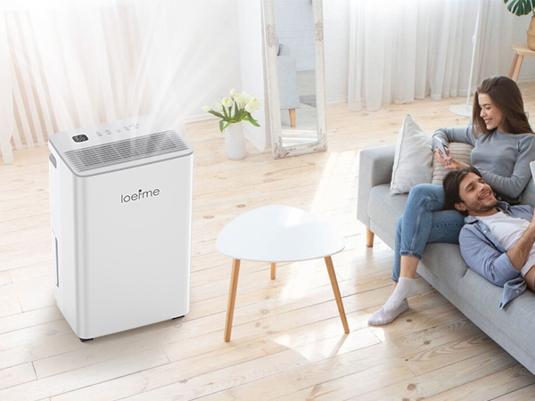 Déshumidificateur LOEFME STS12-1025