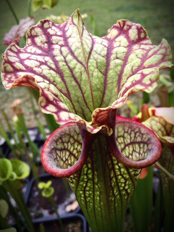 458D7857-FE6A-494C-BDE9-9E32DB95D01E