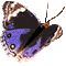 2ky1o6av.gif