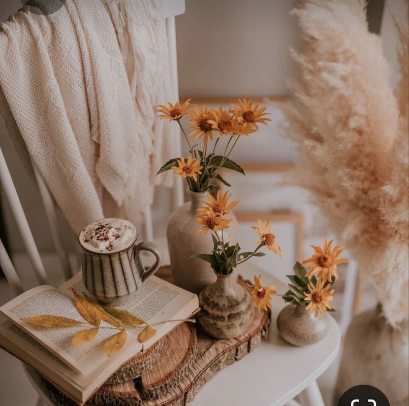 Screenshot_20230407_234441_Pinterest