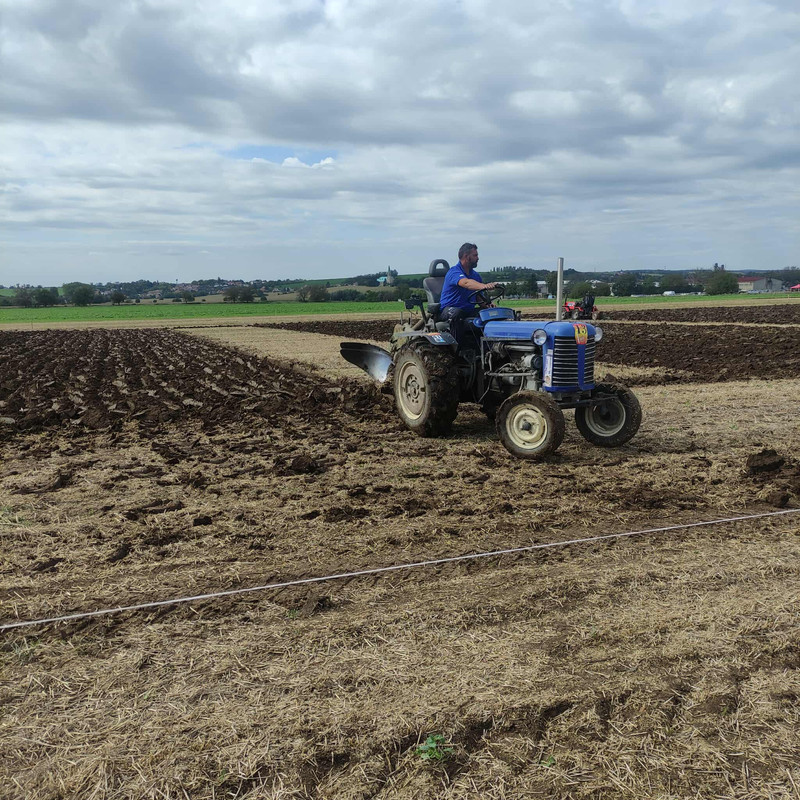 553431048_4267932723490605_4315206206197525506_n