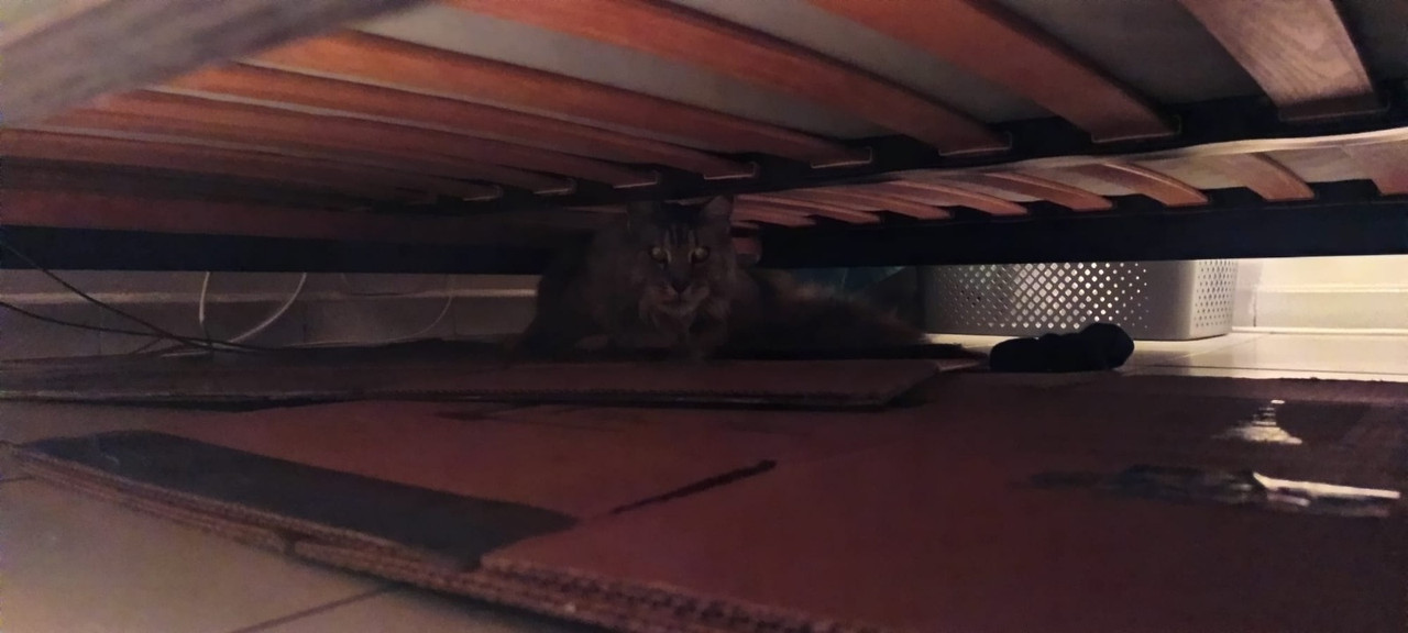 Whats App Image 2026 03 14 at 22 05 02