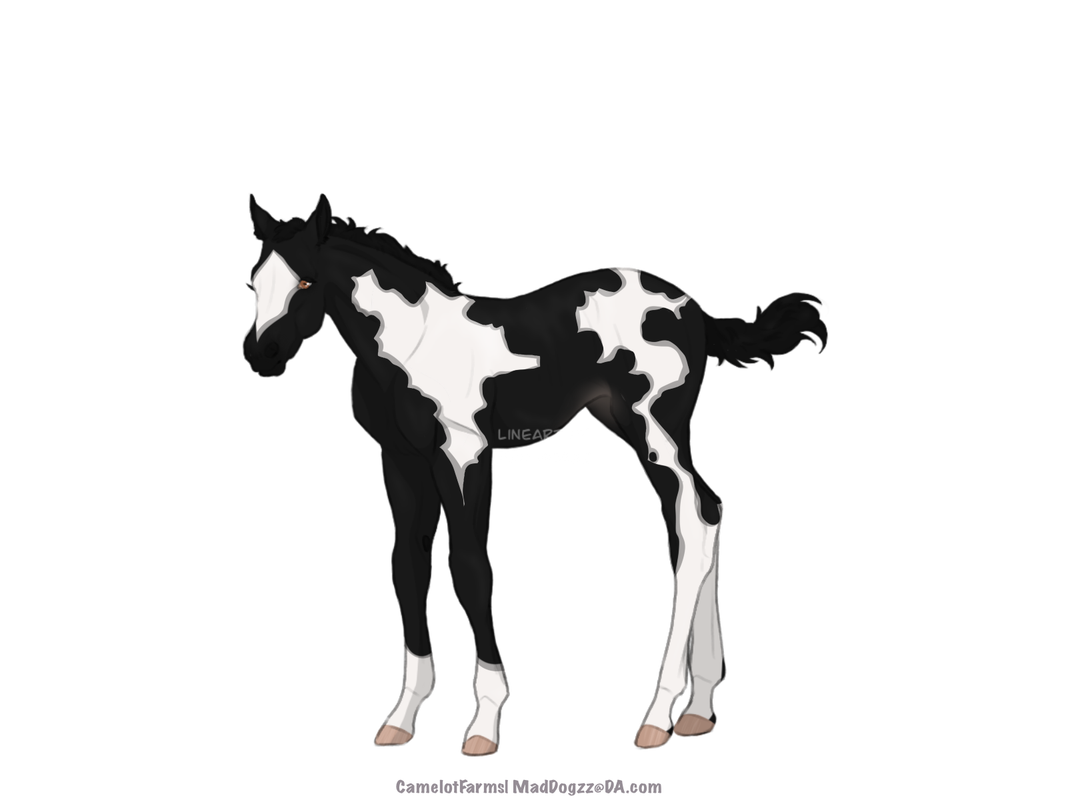 BC1A186F-90AF-4AC5-BE25-964FDEE5D719