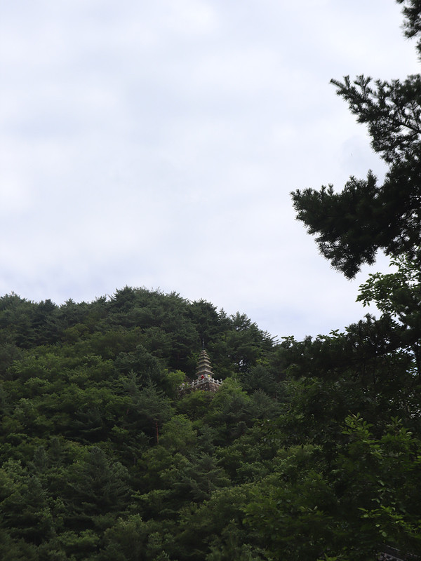 IMG-3226