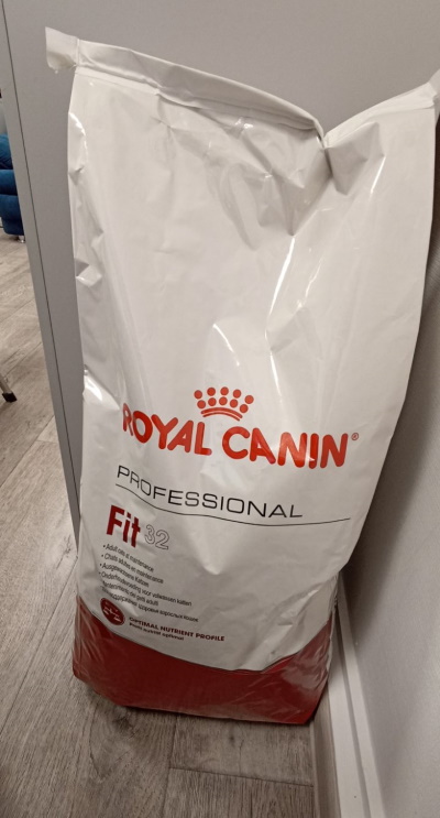 ������ ������ ��� ��������