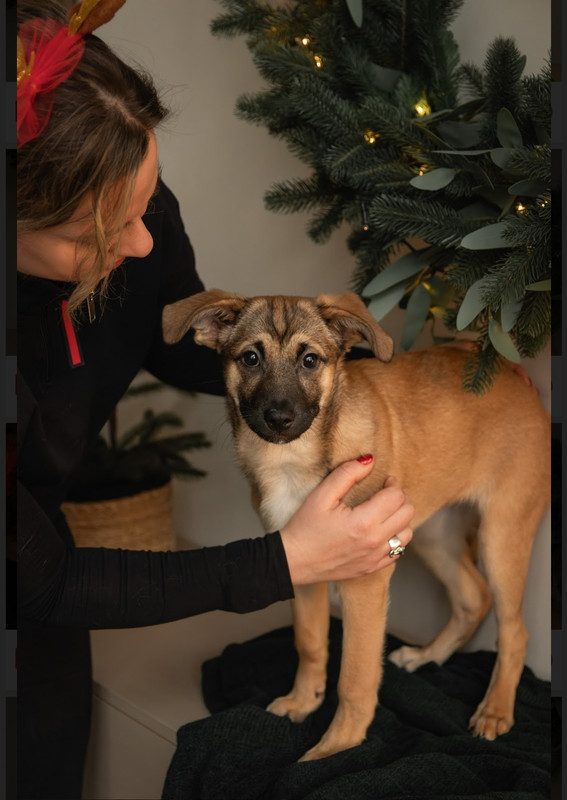 Screenshot_20231231-120947_Instagram