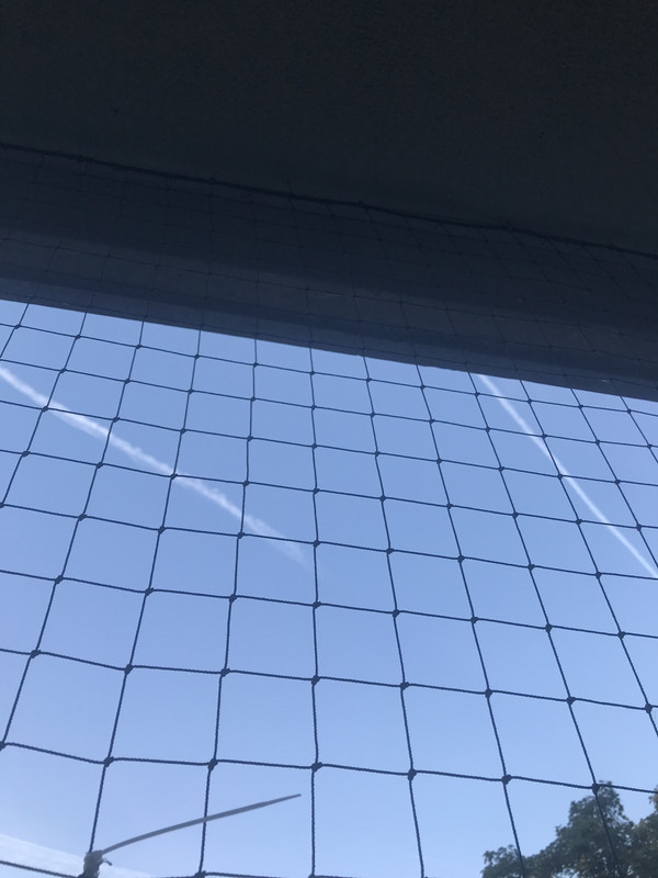 22B69072-4BA6-4EE2-AB0F-57019AA7D8C5