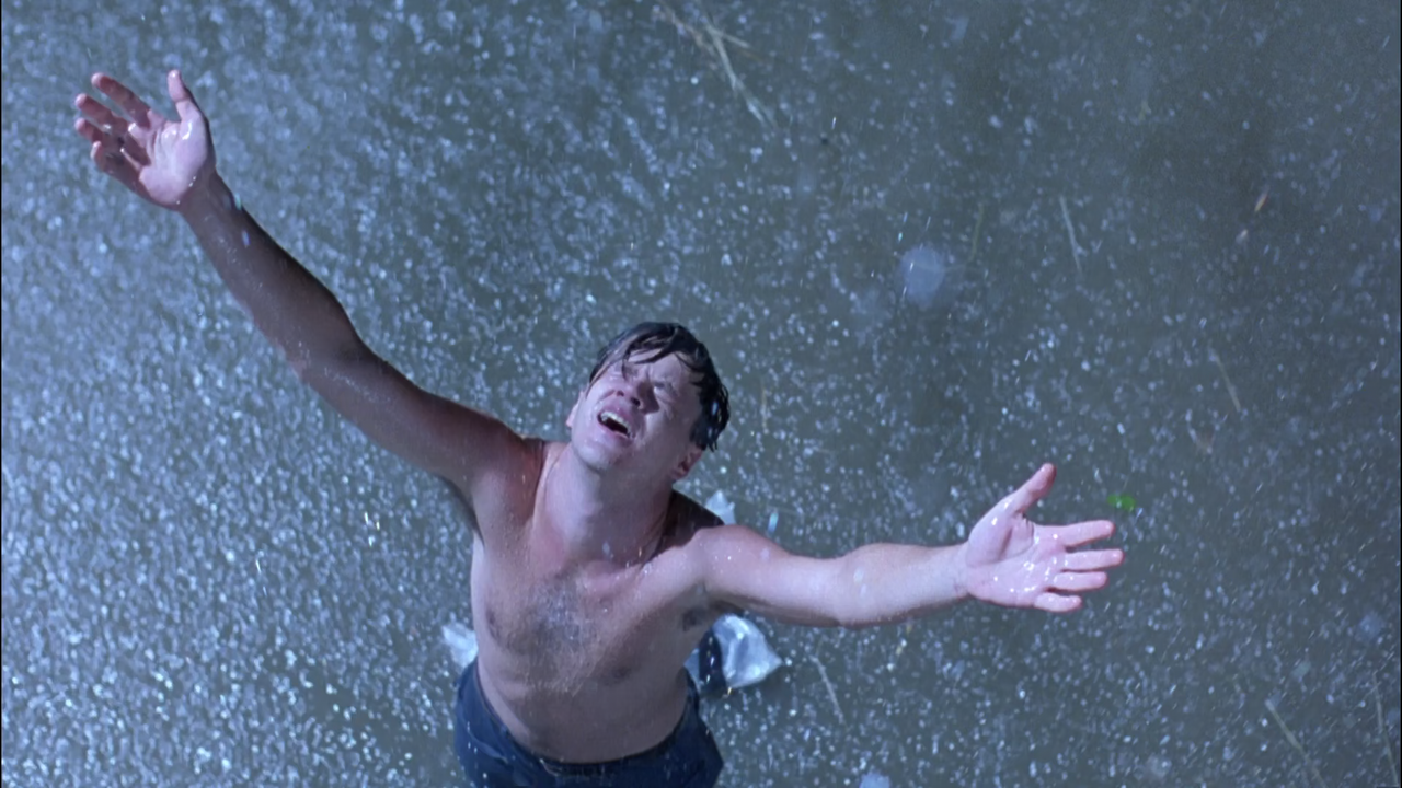 The Shawshank Redemption (1994) [1080p x265 HEVC 10bit BluRay TrueHD 5.1] [Prof]