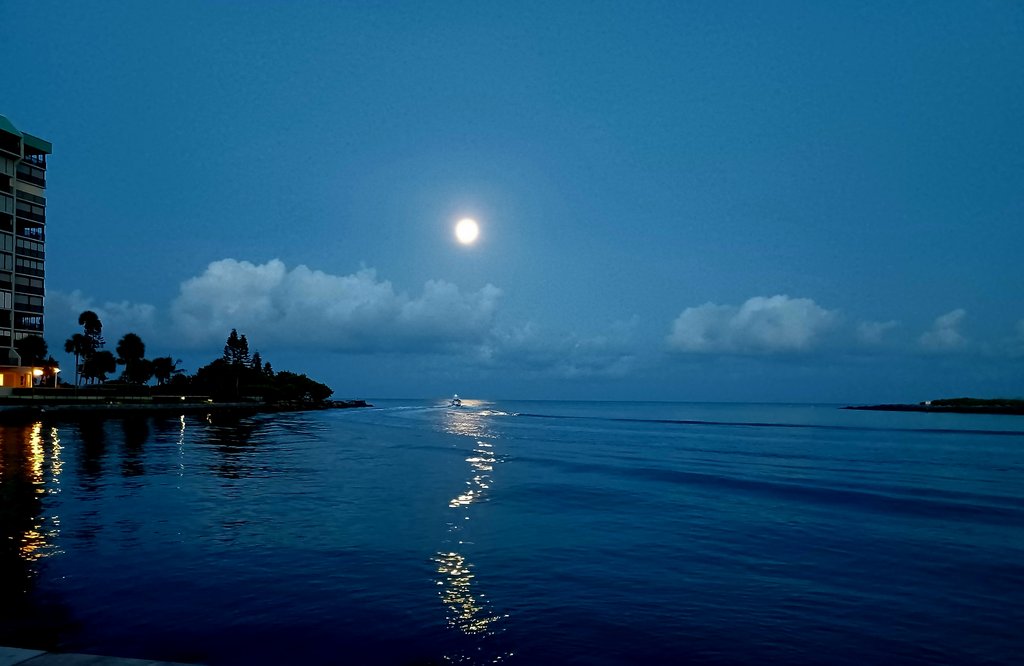 External inline image provided by member with no explanatory text