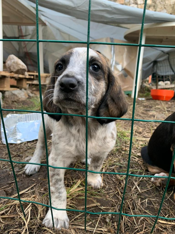 DB8D74DB-CDD9-4AF2-AD52-7335E4EEC16B